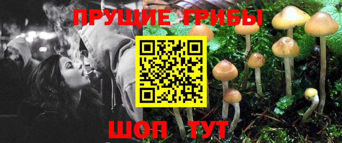 Галлюциногенные грибы Psilocybine cubensis  Вход с VPN  Галлюциногенные грибы ЛСД  Крымск 