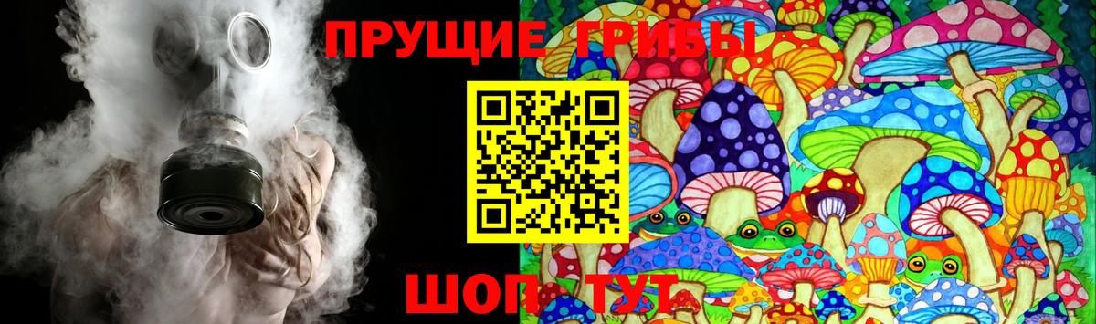 Псилоцибиновые грибы прущие грибы Крымск